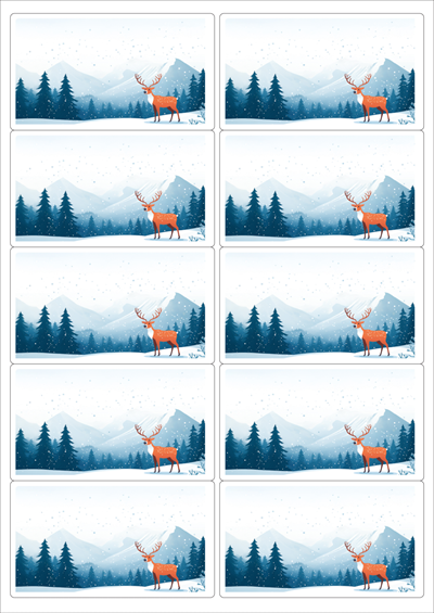 동일규격 아이스틱