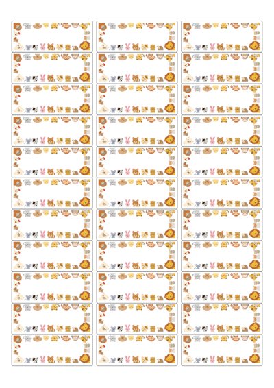 동일규격 아이스틱