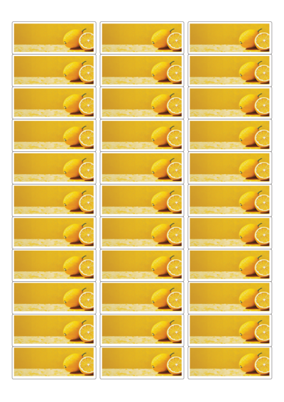 동일규격 아이스틱