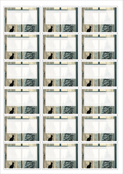 동일규격 아이스틱