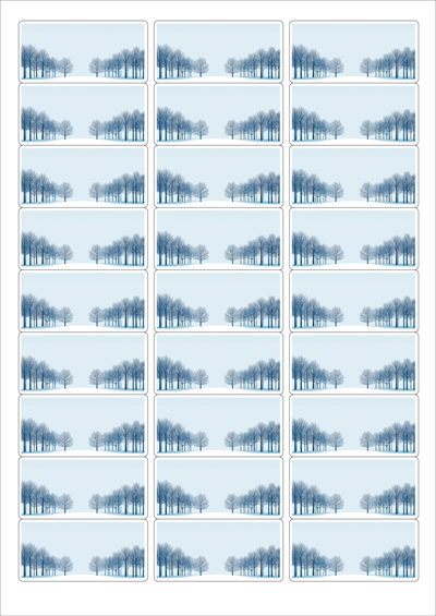 동일규격 아이스틱