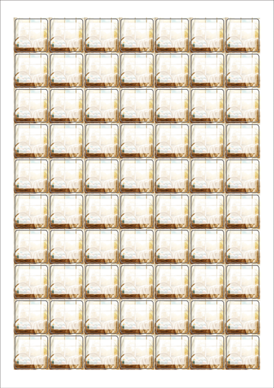 동일규격 아이스틱