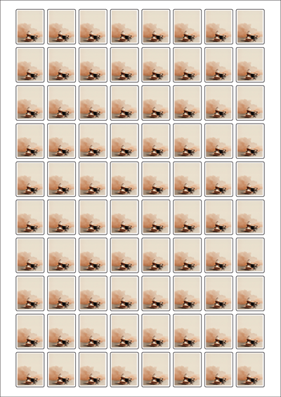 동일규격 아이스틱