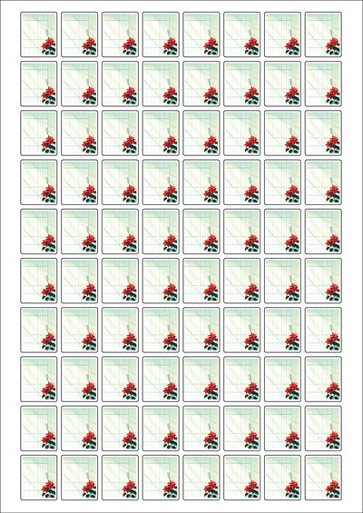 동일규격 아이스틱