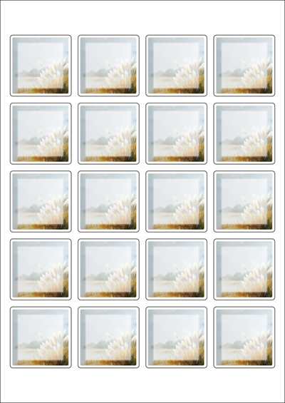 동일규격 아이스틱