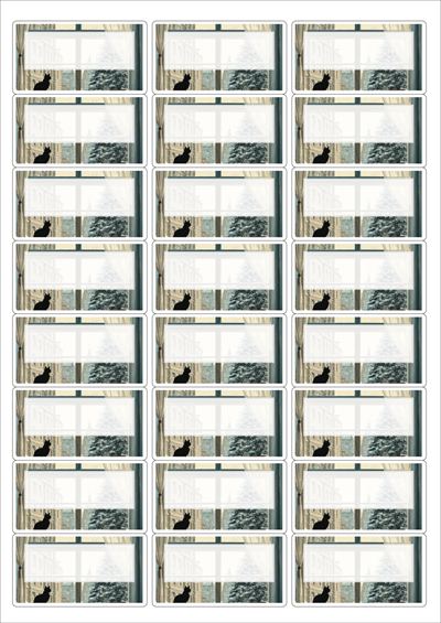 동일규격 아이스틱