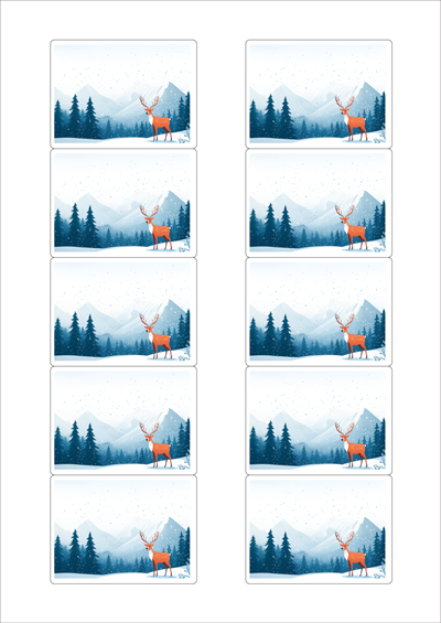 동일규격 아이스틱