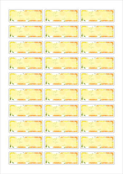 동일규격 아이스틱