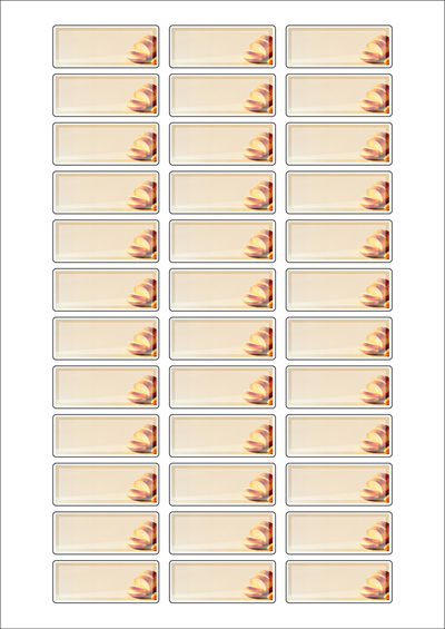 동일규격 아이스틱