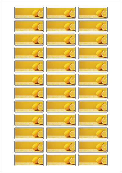 동일규격 아이스틱