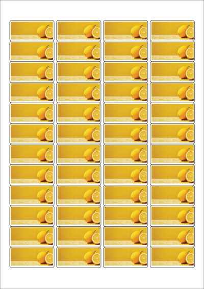 동일규격 아이스틱