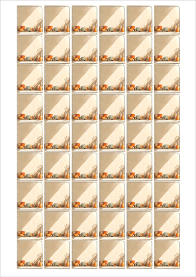 동일규격 아이스틱