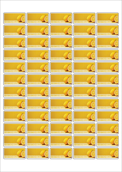 동일규격 아이스틱