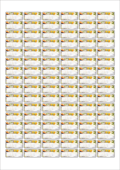 동일규격 아이스틱
