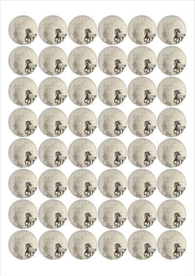 동일규격 아이스틱