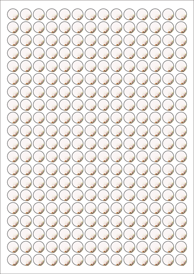 동일규격 아이스틱