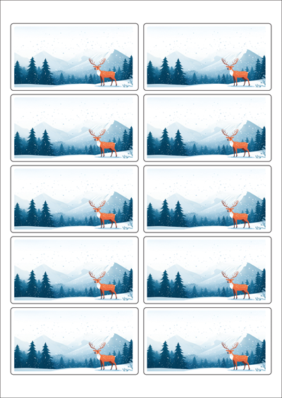 동일규격 아이스틱