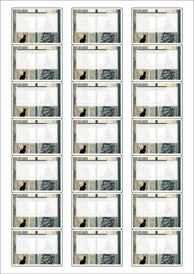 동일규격 아이스틱