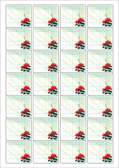 동일규격 아이스틱