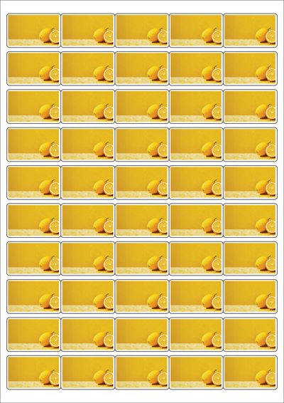 동일규격 아이스틱