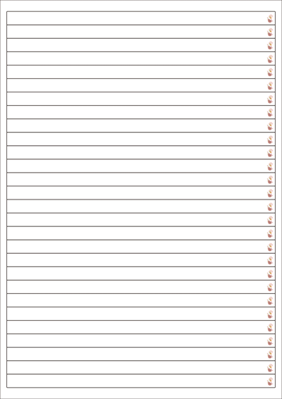 동일규격 아이스틱