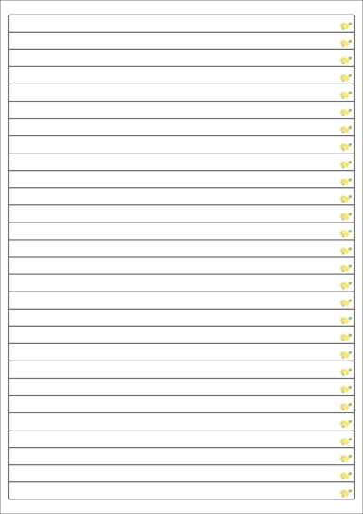 동일규격 아이스틱