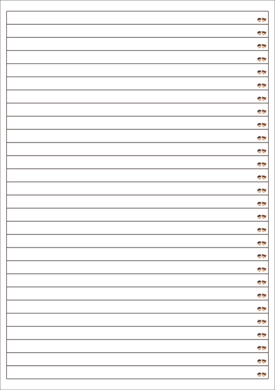 동일규격 아이스틱