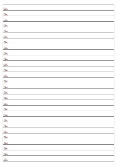 동일규격 아이스틱