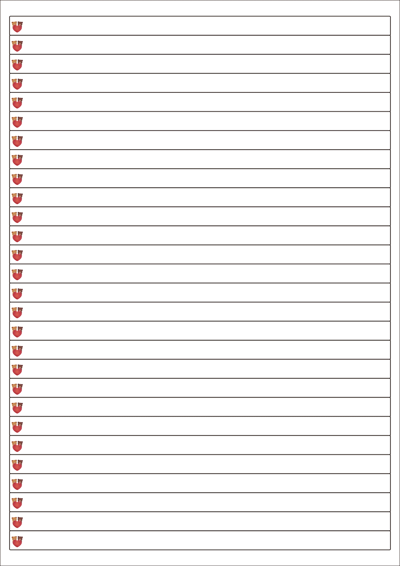 동일규격 아이스틱