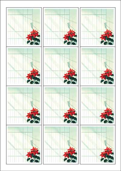 동일규격 아이스틱