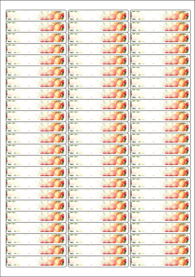 동일규격 아이스틱