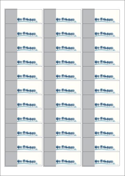 동일규격 아이스틱