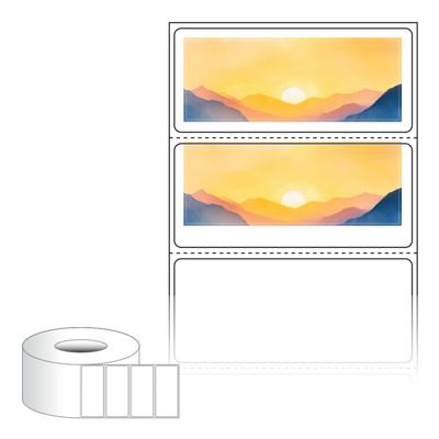 동일규격 아이스틱