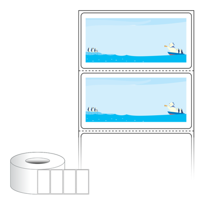 동일규격 아이스틱