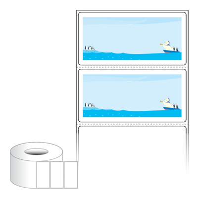 동일규격 아이스틱