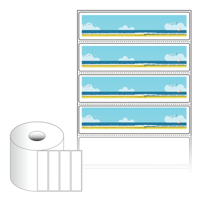 썸네일 규격 이미지