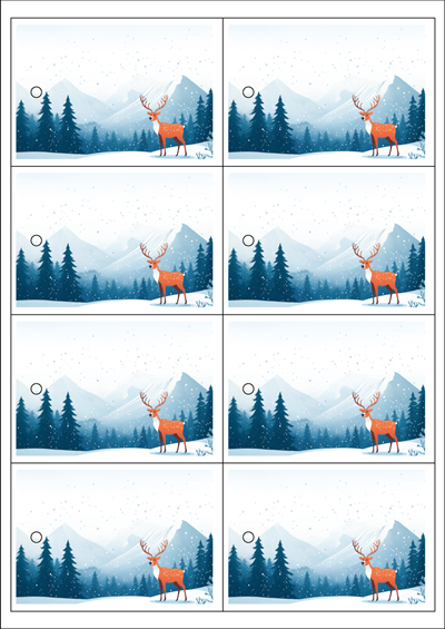 동일규격 아이스틱