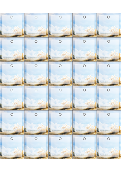 동일규격 아이스틱