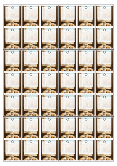 동일규격 아이스틱