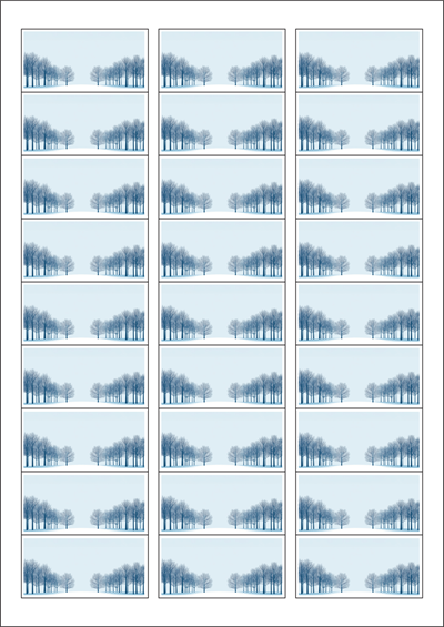 동일규격 아이스틱