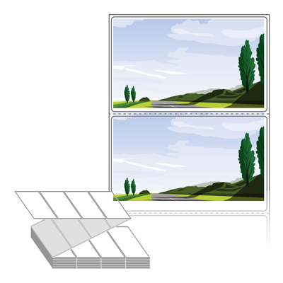 동일규격 아이스틱