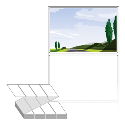 동일규격 아이스틱