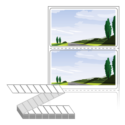 동일규격 아이스틱