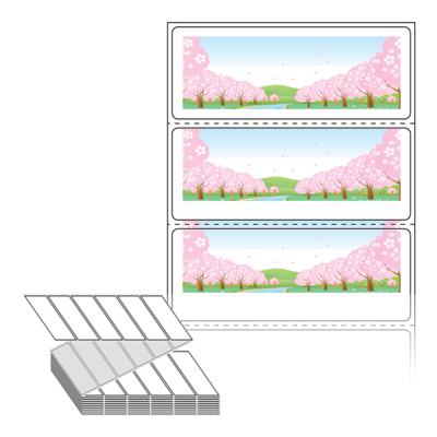 동일규격 아이스틱