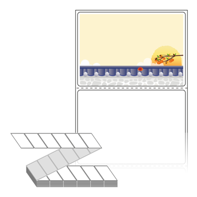 동일규격 아이스틱