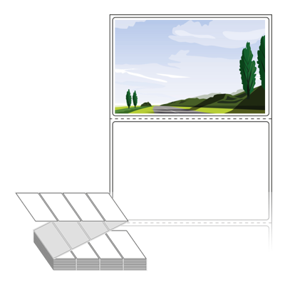 동일규격 아이스틱