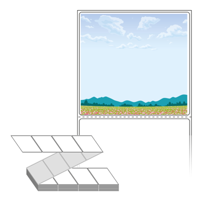 썸네일 규격 이미지