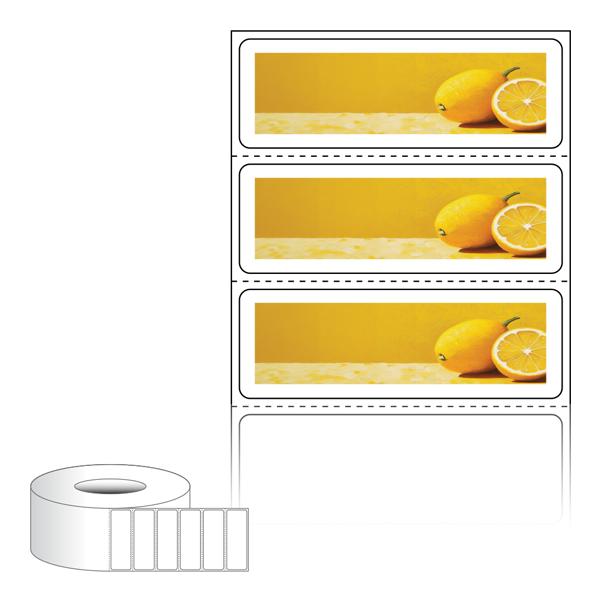 RL6020-DA2293