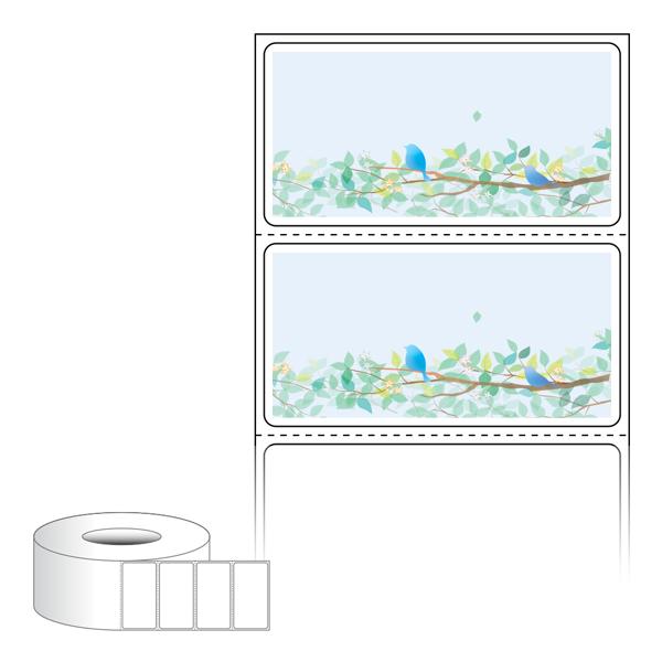 RL6031-DA2111