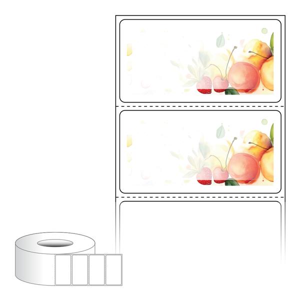 RL6031-DA2289